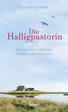 Abbildung von Holdt | Die Halligpastorin | 1. Auflage | 2022 | beck-shop.de