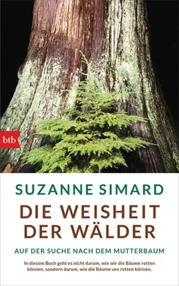 Abbildung von Simard | Die Weisheit der Wälder | 1. Auflage | 2022 | beck-shop.de