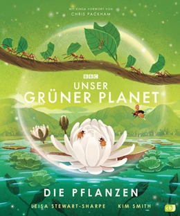 Abbildung von Stewart-Sharpe | Unser grüner Planet - Die Pflanzen | 1. Auflage | 2022 | beck-shop.de