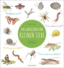 Abbildung von Tordjman | Das große Buch der kleinen Tiere | 1. Auflage | 2022 | beck-shop.de