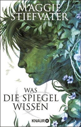 Abbildung von Stiefvater | Was die Spiegel wissen | 1. Auflage | 2022 | beck-shop.de
