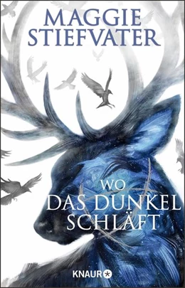 Abbildung von Stiefvater | Wo das Dunkel schläft | 1. Auflage | 2022 | beck-shop.de