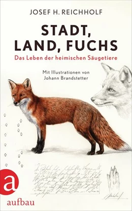 Abbildung von Reichholf | Stadt, Land, Fuchs | 1. Auflage | 2022 | beck-shop.de