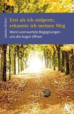 Abbildung von Richter | Erst als ich stolperte, erkannte ich meinen Weg | 1. Auflage | 2021 | beck-shop.de