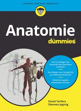 Abbildung von Terfera / Jegtvig | Anatomie für Dummies | 1. Auflage | 2022 | beck-shop.de