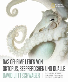 Abbildung von Liittschwager / Kolbert | Das geheime Leben von Oktopus, Seepferdchen und Qualle | 1. Auflage | 2022 | beck-shop.de