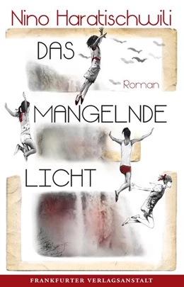 Abbildung von Haratischwili | Das mangelnde Licht | 1. Auflage | 2022 | beck-shop.de