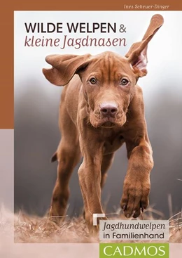 Abbildung von Scheuer-Dinger | Wilde Welpen & kleine Jagdnasen | 1. Auflage | 2022 | beck-shop.de