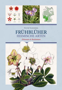 Abbildung von Tackenberg | Frühblüher. Heimische Arten. | 1. Auflage | 2022 | beck-shop.de