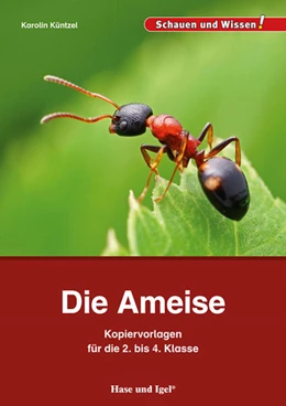 Abbildung von Küntzel | Die Ameise - Kopiervorlagen für die 2. bis 4. Klasse | 1. Auflage | 2022 | beck-shop.de