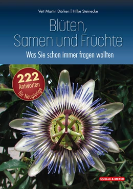 Abbildung von Dörken / Steinecke | Blüten, Samen und Früchte: Was Sie schon immer fragen wollten | 1. Auflage | 2022 | beck-shop.de