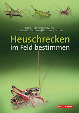 Abbildung von Fischer / Bayerische Akademie für Naturschutz und Landschaftspflege (ANL) | Heuschrecken im Feld bestimmen | 1. Auflage | 2023 | beck-shop.de