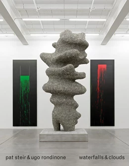 Abbildung von Schwabsky | Pat Steir, Ugo Rondinone | 1. Auflage | 2022 | beck-shop.de