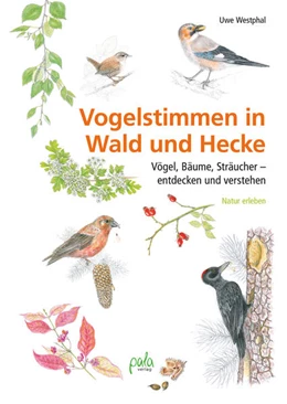 Abbildung von Westphal | Vogelstimmen in Wald und Hecke | 1. Auflage | 2022 | beck-shop.de