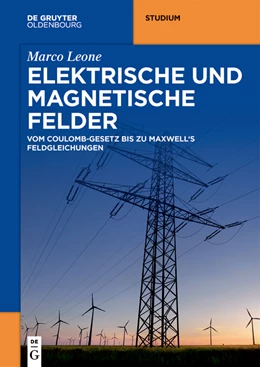 Abbildung von Leone | Elektrische und magnetische Felder | 1. Auflage | 2022 | beck-shop.de