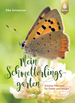 Abbildung von Schwarzer | Mein Schmetterlingsgarten | 2. Auflage | 2022 | beck-shop.de