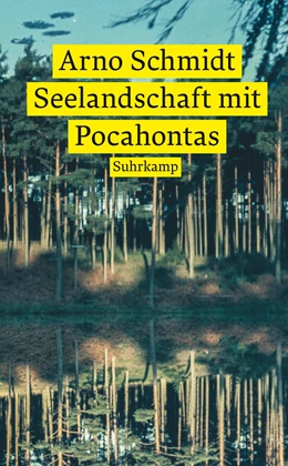 Abbildung von Schmidt | Seelandschaft mit Pocahontas | 1. Auflage | 2022 | beck-shop.de