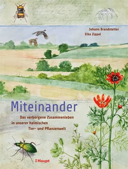 Abbildung von Brandstetter / Zippel | Miteinander | 1. Auflage | 2022 | beck-shop.de