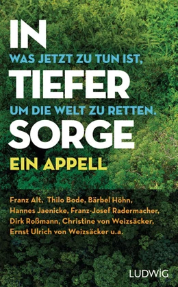 Abbildung von Lücker | In tiefer Sorge | 1. Auflage | 2022 | beck-shop.de