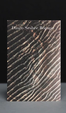 Abbildung von Dineo Seshee Bopape | 1. Auflage | 2022 | beck-shop.de