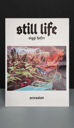 Abbildung von Siggi Hofer: Still Life | 1. Auflage | 2022 | beck-shop.de