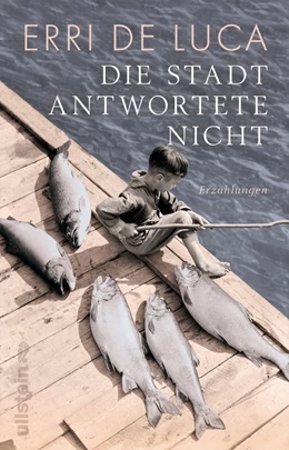 Abbildung von Luca | Die Stadt antwortete nicht | 1. Auflage | 2023 | beck-shop.de