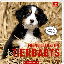 Abbildung von Meine liebsten Tierbabys | 1. Auflage | 2022 | beck-shop.de