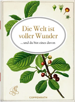 Abbildung von Die Welt ist voller Wunder | 1. Auflage | 2022 | beck-shop.de