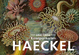 Abbildung von Postkarten-Set Ernst Haeckel | 1. Auflage | 2022 | beck-shop.de