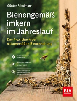 Abbildung von Friedmann | Bienengemäß imkern im Jahreslauf | 1. Auflage | 2024 | beck-shop.de