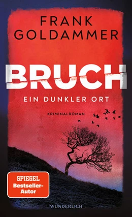 Abbildung von Goldammer | Bruch: Ein dunkler Ort | 1. Auflage | 2022 | beck-shop.de