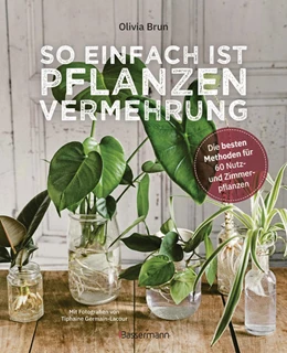 Abbildung von Brun | So einfach ist Pflanzenvermehrung. Die besten Methoden für 60 Nutz- und Zimmerpflanzen. | 1. Auflage | 2022 | beck-shop.de