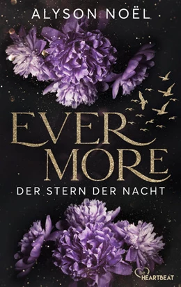 Abbildung von Noël | Evermore - Der Stern der Nacht | 1. Auflage | 2022 | beck-shop.de