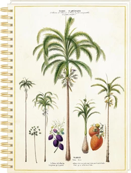 Abbildung von Ringbuch DIN A4 Notizen - Sammlung Augustina | 1. Auflage | 2022 | beck-shop.de