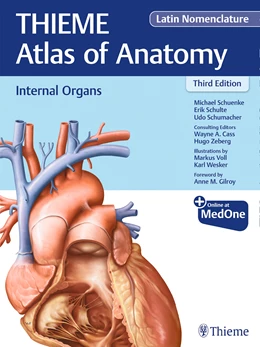 Abbildung von Schuenke / Schulte | Internal Organs (THIEME Atlas of Anatomy), Latin Nomenclature | 3. Auflage | 2021 | beck-shop.de