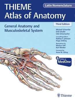 Abbildung von Schuenke / Schulte | General Anatomy and Musculoskeletal System (THIEME Atlas of Anatomy), Latin Nomenclature | 3. Auflage | 2021 | beck-shop.de