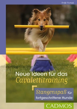 Abbildung von Rumpf | Neue Ideen für das Cavalettitraining | 1. Auflage | 2022 | beck-shop.de