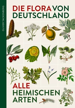 Abbildung von Tackenberg | Die Flora von Deutschland. Alle heimischen Arten | 1. Auflage | 2022 | beck-shop.de