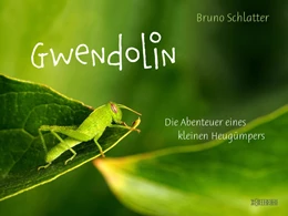 Abbildung von Schlatter | Gwendolin | 1. Auflage | 2022 | beck-shop.de