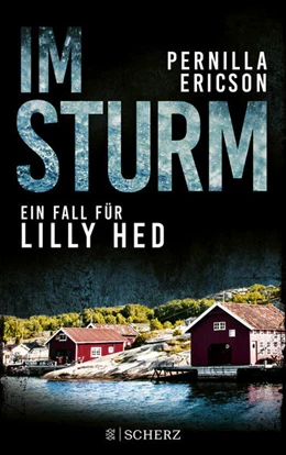 Abbildung von Ericson | Im Sturm | 1. Auflage | 2023 | beck-shop.de