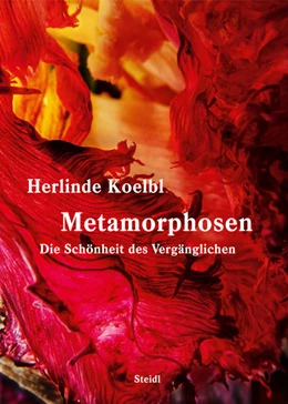 Abbildung von Koelbl | Metamorphosen / Metamorphoses | 1. Auflage | 2023 | beck-shop.de