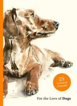 Abbildung von Sampson | For the Love of Dogs: 25 Postcards | 1. Auflage | 2024 | beck-shop.de