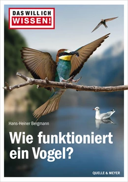 Abbildung von Bergmann | Das will ich wissen! Wie funktioniert ein Vogel? | 1. Auflage | 2022 | beck-shop.de