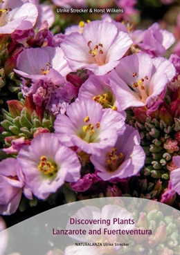 Abbildung von Strecker / Wilkens | Discovering Plants Lanzarote and Fuerteventura | 1. Auflage | 2022 | beck-shop.de