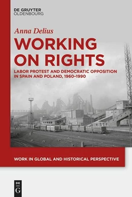 Abbildung von Delius | Working on Rights | 1. Auflage | 2023 | 17 | beck-shop.de