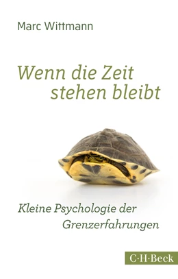 Abbildung von Wittmann | Wenn die Zeit stehen bleibt | 1. Auflage | 2015 | 6194 | beck-shop.de