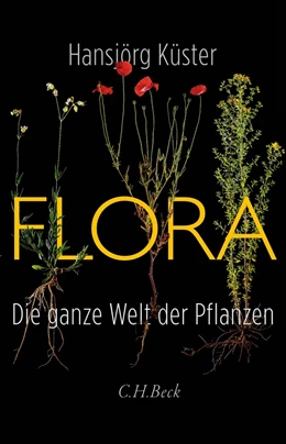 Abbildung von Küster | Flora | 1. Auflage | 2022 | beck-shop.de
