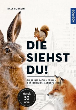 Abbildung von Bürglin | Die siehst du - Die Tiere um dich herum | 1. Auflage | 2022 | beck-shop.de