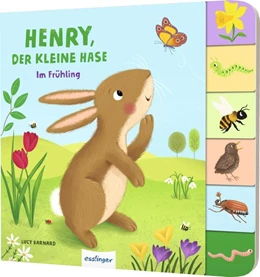 Abbildung von Kiel | Mein erstes Jahreszeitenbuch: Henry, der kleine Hase | 1. Auflage | 2023 | beck-shop.de