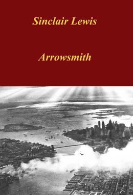 Abbildung von Lewis | Arrowsmith | 1. Auflage | 2022 | beck-shop.de